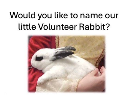 Would you like to NAME our VOLUNTEER RABBIT?